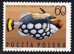 1603 pęknięte 0 czysty**