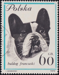 1230 B1 kropka po GR kasowany