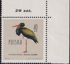 1065 B1 pogrubione NY czysty** Ptaki chronione w Polsce