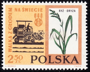 1225 kreseczka na K gwarancja+opis czysty**