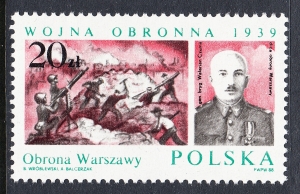 3013 wcięcie w S czysty**
