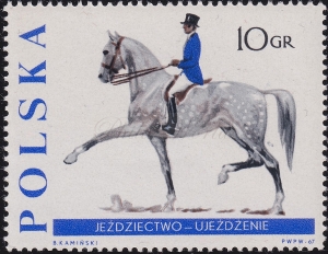 1592 plama pod ogonem czysty**