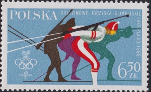 2528 wcięcie w łydce czysty**