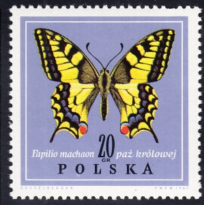 1951 plamka pod O czysty**