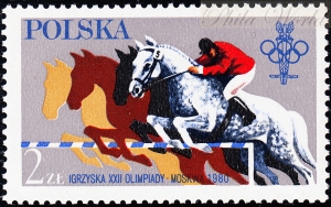2526 uszkodzone S czysty**
