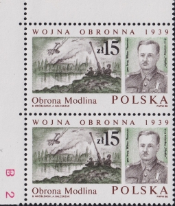 3011 ścięta litera Z parka czysta**