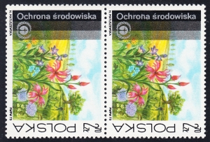 2121 uszkodzone N w OCHRONA parka czysta**