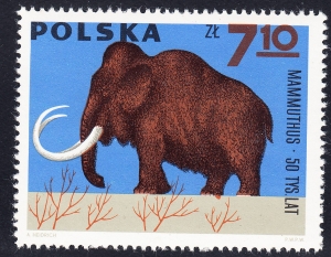 1514 plama pod nogą czysty**