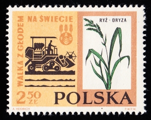 1225 kropka pod dachem kombajnu czysty**