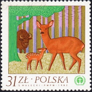 2706 niespasowane barwy czysty**