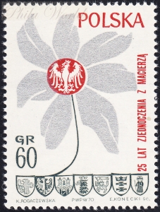 1858 przesunięta barwa czysty**