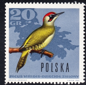 1571 przesunięcie barwy czysty**