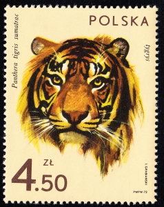 2022 plamka w nominale czysty**