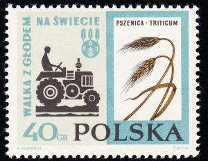1223 kropka po M czysty**