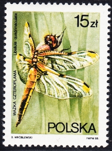 2987 uszkodzone O czysty**