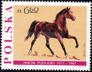 1598 wcięcie pod P czysty**