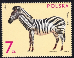 2023 zdwojenie UU gwarancja+opis czysty**