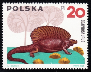 1421 plamka pod brzuchem czysty**