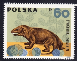 1510 plama pod brzuchem czysty**