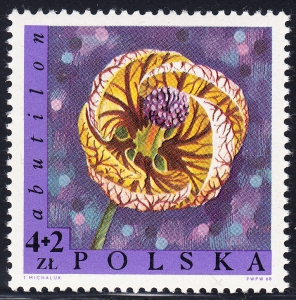 1695 plamka w K czysty**