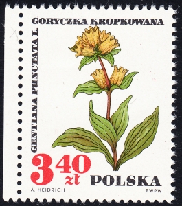 1625 plamka w L czysty**