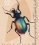 /console/image/resize/width/520/height/520/type/productGfx/image/2b425de7db32b84d7e5871370f4bb88b.jpg