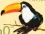 /console/image/resize/width/520/height/520/type/productGfx/image/2ef9abdeec74cb1d93e0529f89fec93c.jpg