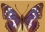 /console/image/resize/width/520/height/520/type/productGfx/image/41eedc51dd80a252edef86d5ac03f6c6.jpg