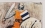 /console/image/resize/width/520/height/520/type/productGfx/image/429fe3028e5110d3b115a488ad698c7f.jpg