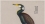 /console/image/resize/width/520/height/520/type/productGfx/image/55053ca04f69a4a41db689f6a235bc05.jpg