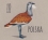 /console/image/resize/width/520/height/520/type/productGfx/image/5a4ead6103f7d17f90f185d9dde7e0b5.jpg