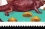 /console/image/resize/width/520/height/520/type/productGfx/image/769db2b0a719bc2fc7c4fdcfa04706c1.jpg