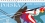 /console/image/resize/width/520/height/520/type/productGfx/image/7b9c45e2cf63d838df5ffb39f5746953.jpg