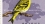 /console/image/resize/width/520/height/520/type/productGfx/image/85267b1b938af4b3a6c212643599edb4.jpg