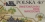 /console/image/resize/width/520/height/520/type/productGfx/image/a775ca25f07a6a71863b66449b44c88d.jpg