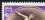 /console/image/resize/width/520/height/520/type/productGfx/image/af22d0e19e1486e2a14344b228f255da.jpg