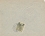 /console/image/resize/width/520/height/520/type/productGfx/image/b385526c056041a07670bc53233e4377.jpg