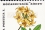 /console/image/resize/width/520/height/520/type/productGfx/image/b73a0389da83e67b25f754d86269445d.jpg