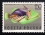 /console/image/resize/width/520/height/520/type/productGfx/image/d6eb231230434be2338866e1fc03bef2.jpg