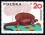 /console/image/resize/width/520/height/520/type/productGfx/image/ddd978caff89cfa50bfb591302697b75.jpg