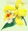 /console/image/resize/width/520/height/520/type/productGfx/image/e016a7350ef6f30368b31dd9eae2db6b.jpg