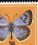/console/image/resize/width/520/height/520/type/productGfx/image/efb5c4dd7e8d83e6d04c1e8a7d8ce660.jpg