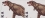 /console/image/resize/width/520/height/520/type/productGfx/image/f4367a3d55d38ccc8ff112513b2de4fd.jpg