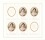 /console/image/resize/width/520/height/520/type/productGfx/image/faad430ff259352fd2d4302010d92e26.jpg