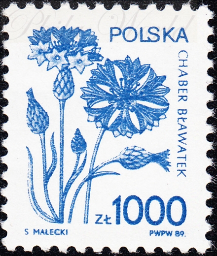 3098 otwarta zalążnia czysty**