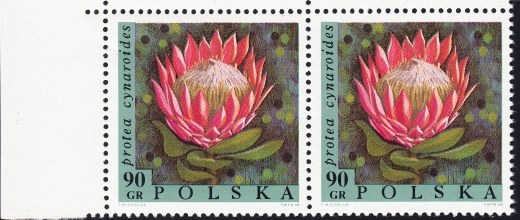 1694 kropka przy O parka czysta**