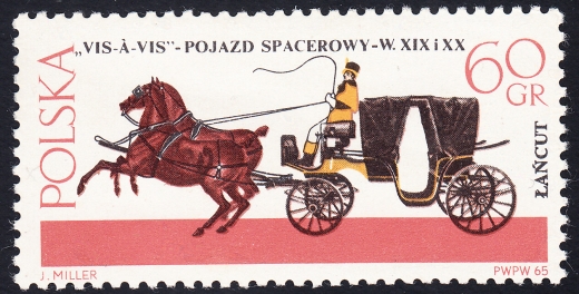 1498 wyrostek na kończynie czysty**