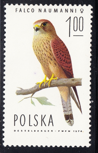 2208 zdwojona barwa czarna gwarancja+opis czysty**