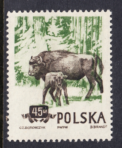 0743 MK przesunięcie barwy czysty*