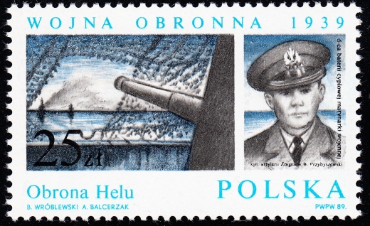 3069 zdwojona barwa niebieska gwarancja+opis czysty**